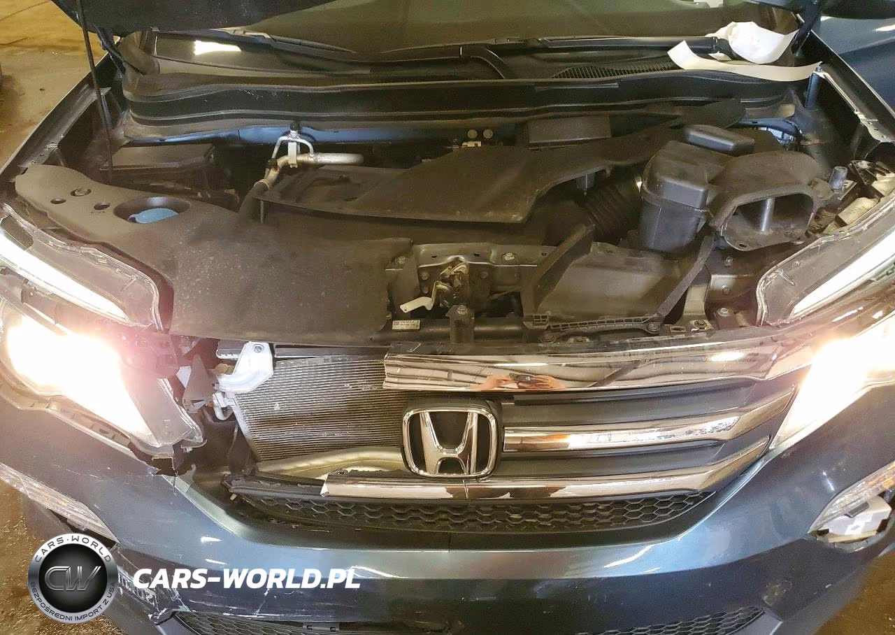 2017 Honda Pilot Exl VIN:5FNYF6H52HB080080 - 11