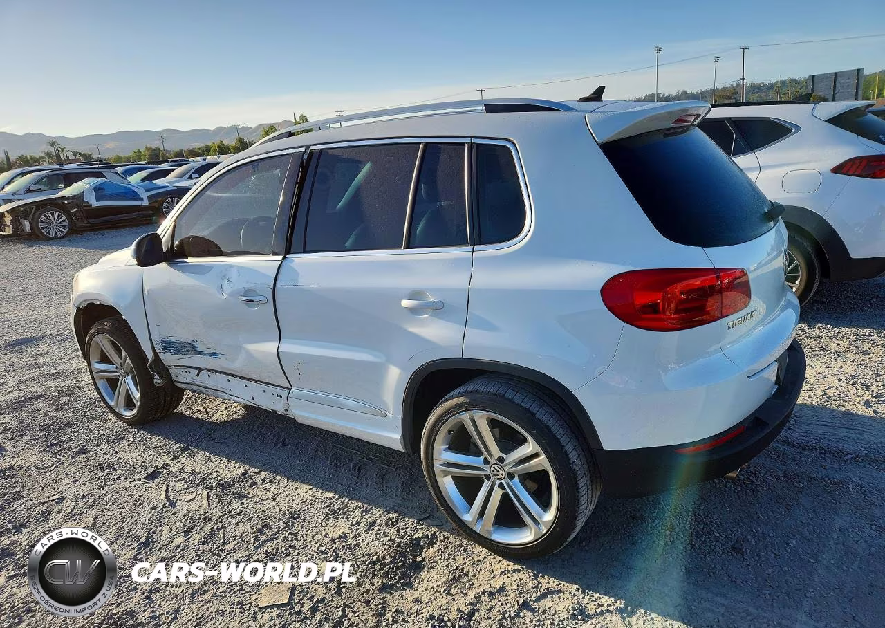 2014 Volkswagen Tiguan S VIN:WVGAV3AX3EW065749 - 2