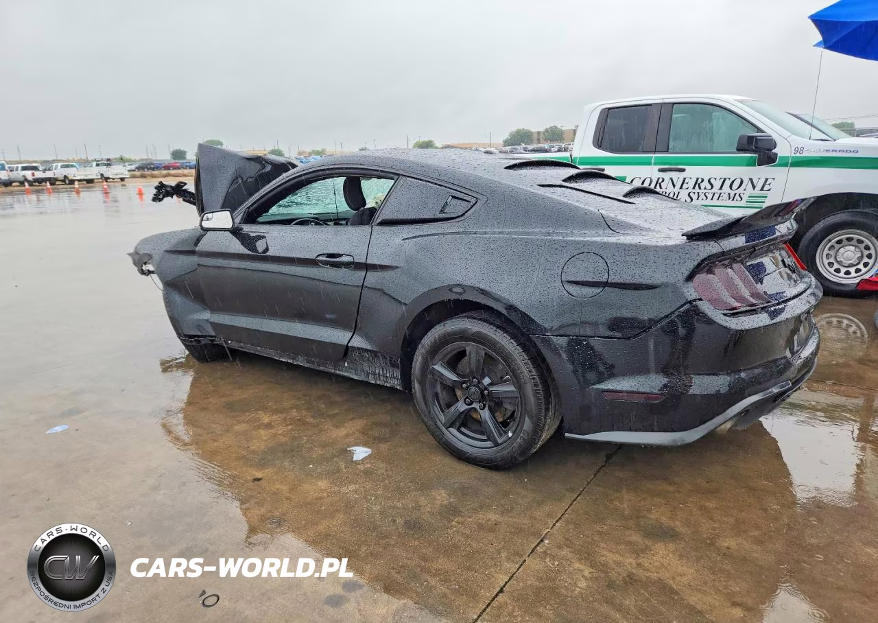 2019 Ford Mustang VIN:1FA6P8THXK5178189 - 2