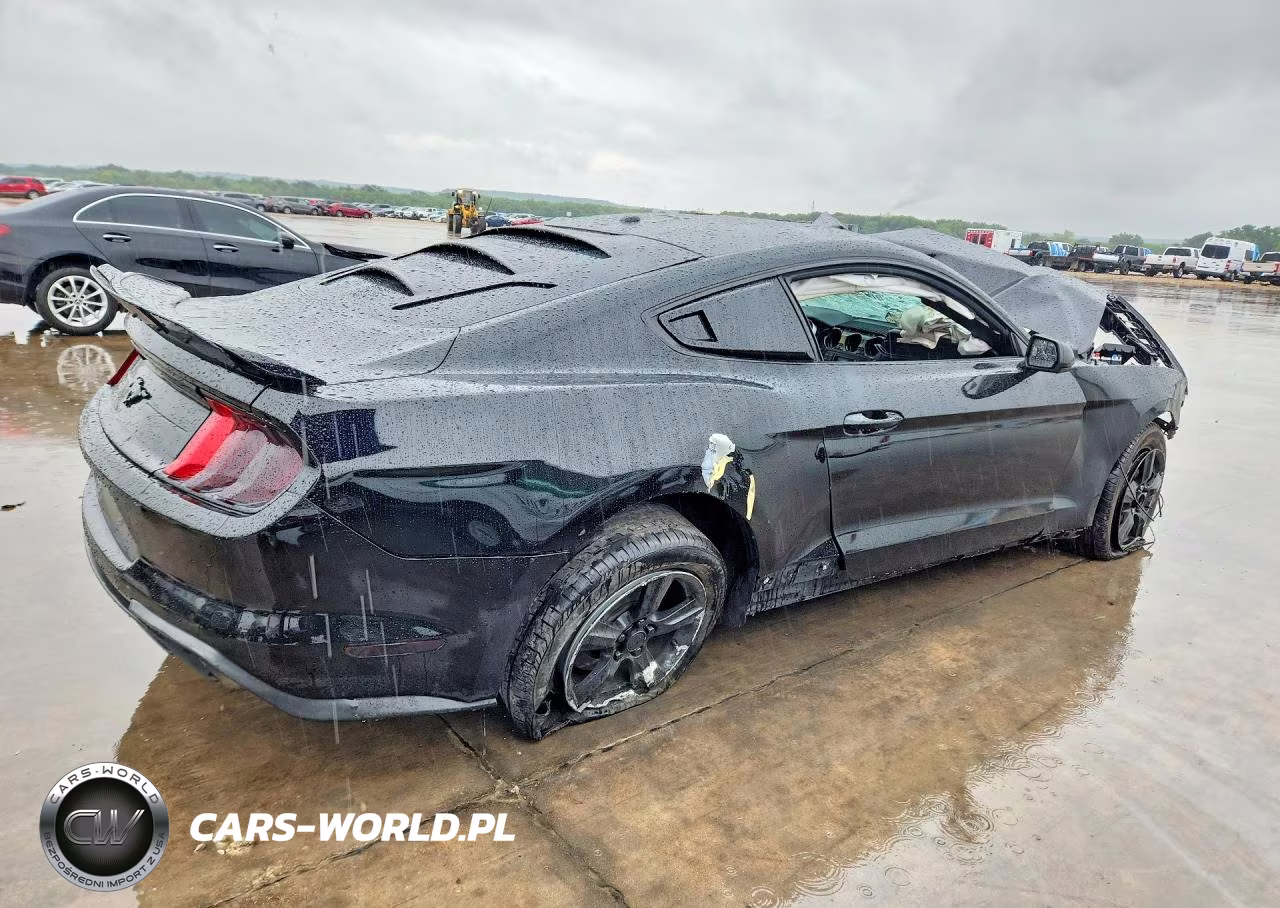 2019 Ford Mustang VIN:1FA6P8THXK5178189 - 3