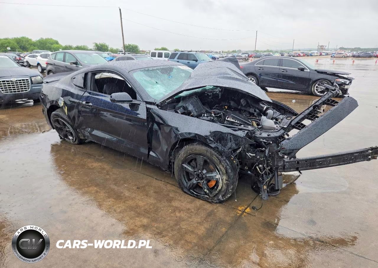 2019 Ford Mustang VIN:1FA6P8THXK5178189 - 4