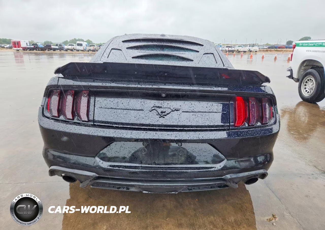 2019 Ford Mustang VIN:1FA6P8THXK5178189 - 6