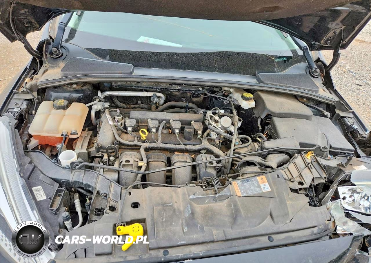 2018 Ford Focus Se VIN:1FADP3F21JL226710 - 11