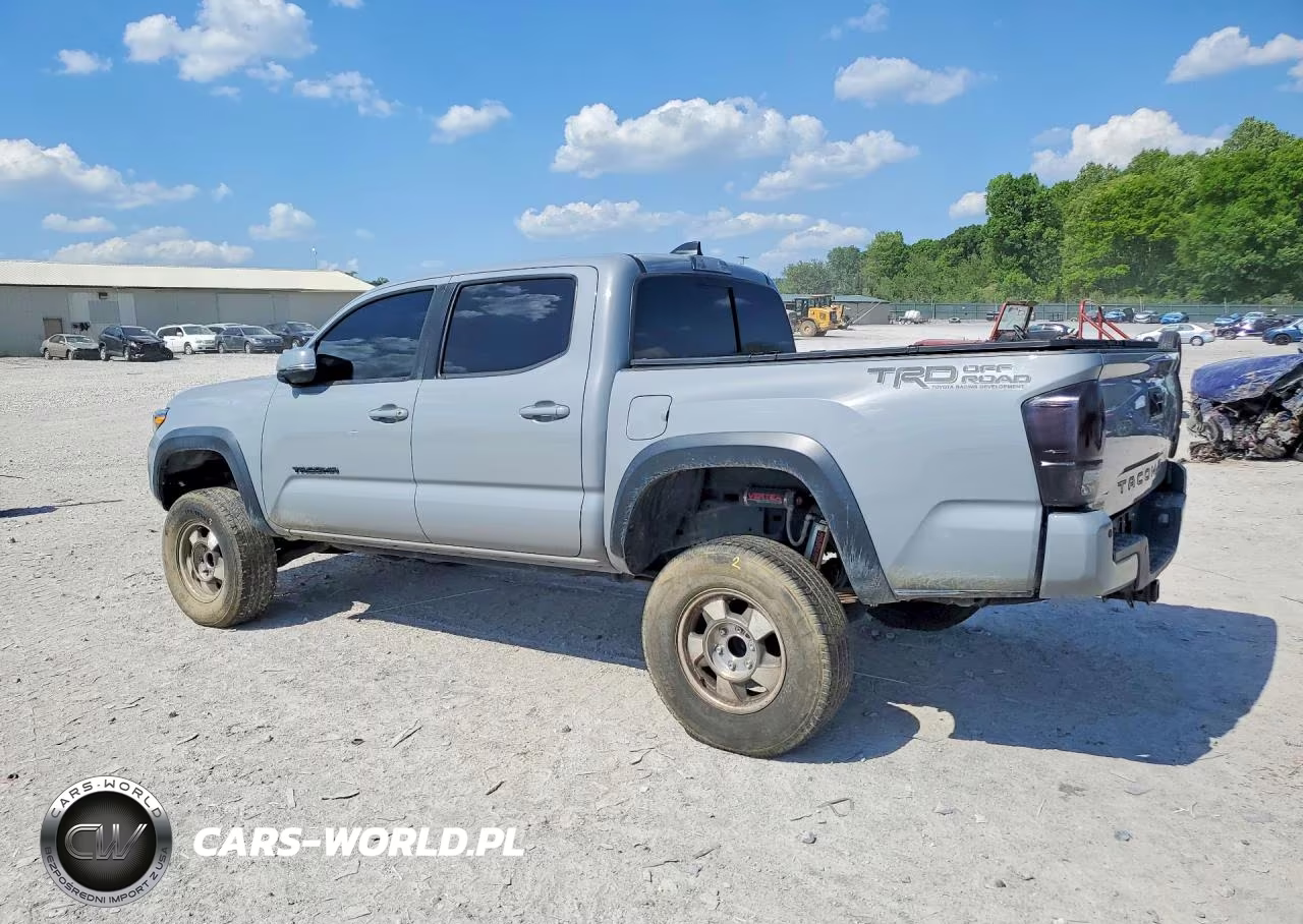 2020 Toyota Tacoma Trd Off-Road VIN:5TFCZ5ANXLX229193 - 2