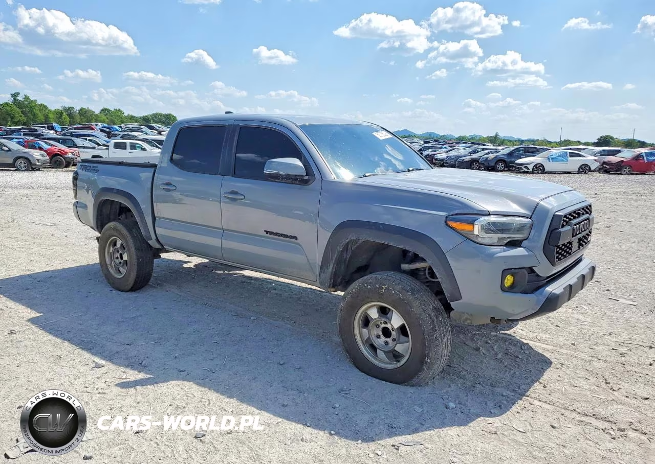 2020 Toyota Tacoma Trd Off-Road VIN:5TFCZ5ANXLX229193 - 4