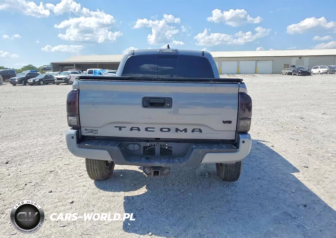 2020 Toyota Tacoma Trd Off-Road VIN:5TFCZ5ANXLX229193 - 6