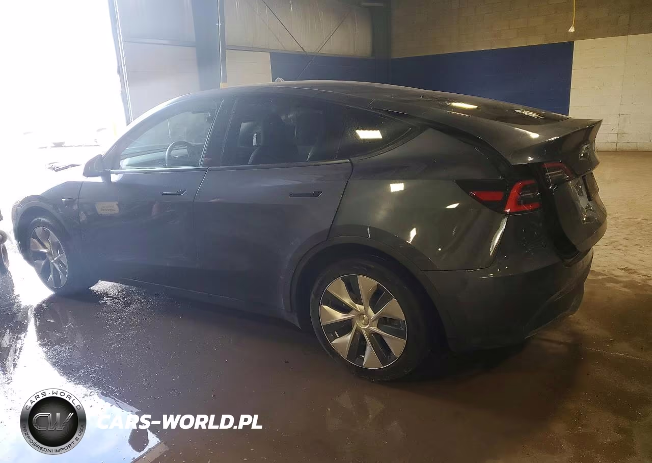 2020 Tesla Model Y VIN:5YJYGDEEXLF043843 - 2