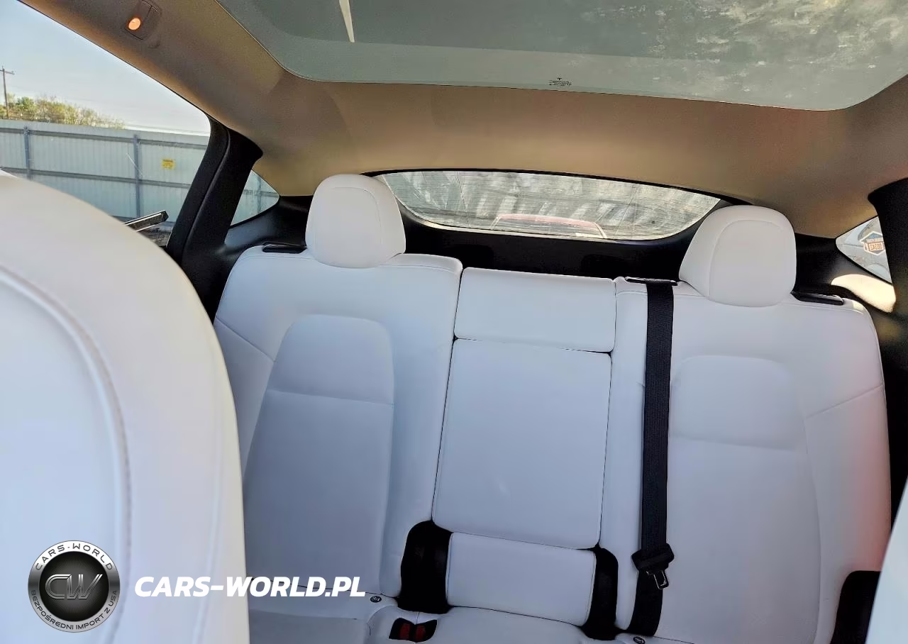 2023 Tesla Model Y VIN:7SAYGDEE4PF832210 - 10