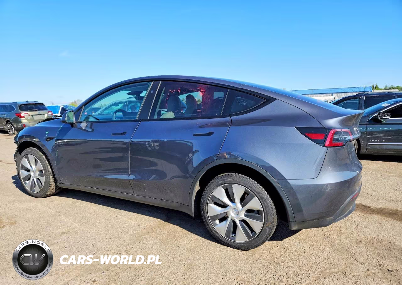 2023 Tesla Model Y VIN:7SAYGDEE4PF832210 - 2