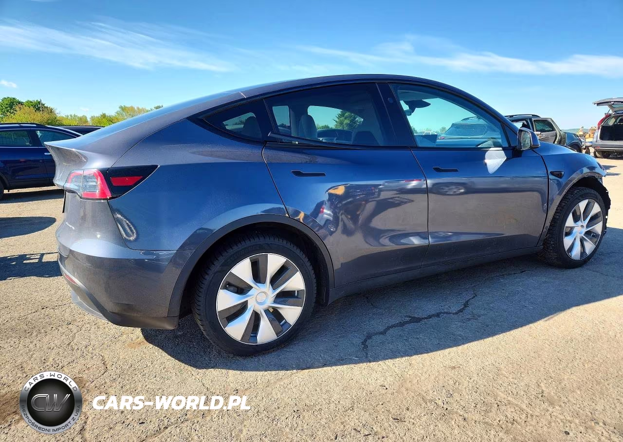 2023 Tesla Model Y VIN:7SAYGDEE4PF832210 - 3