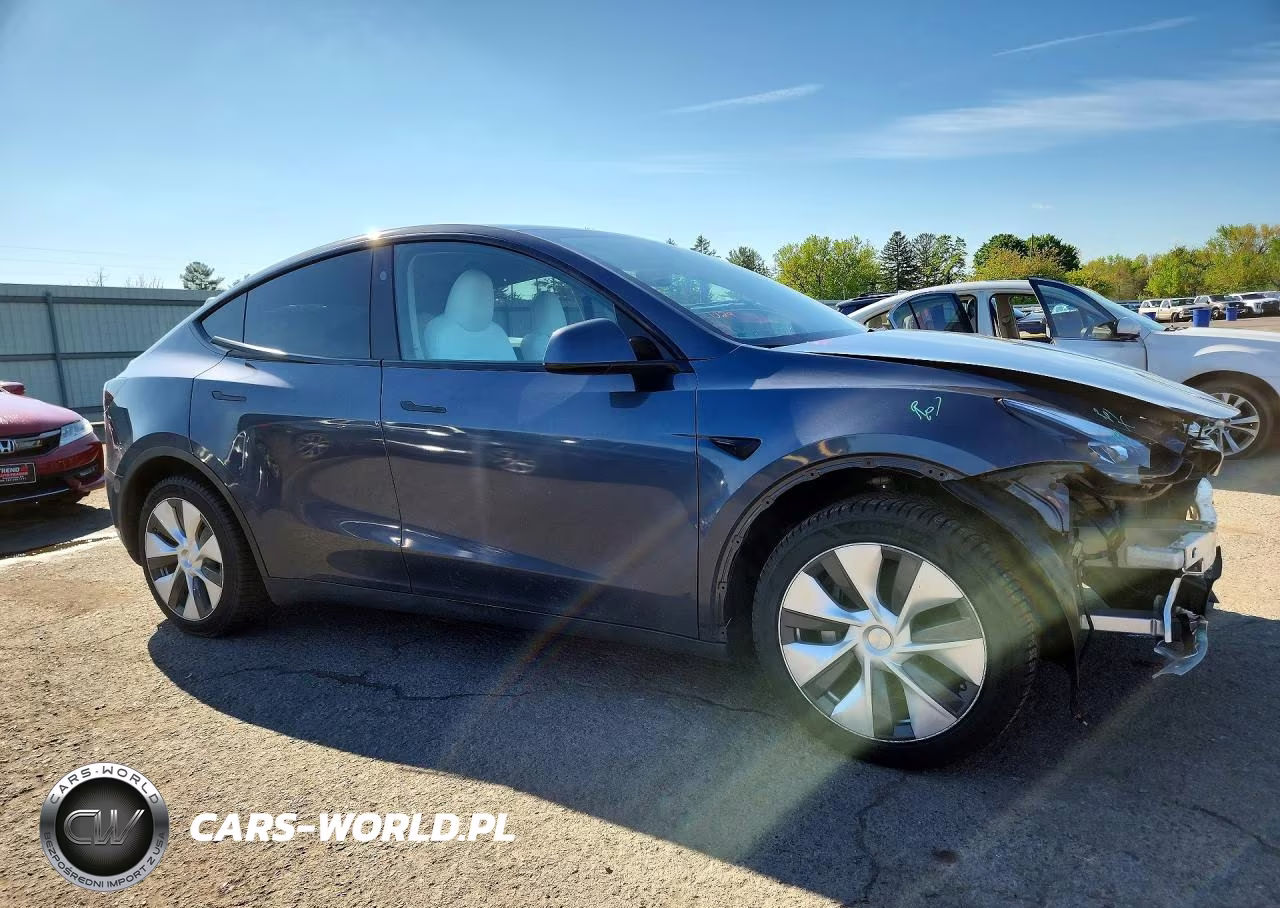 2023 Tesla Model Y VIN:7SAYGDEE4PF832210 - 4