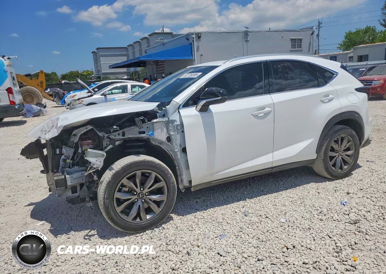 2020 Lexus Nx 300 F Sport