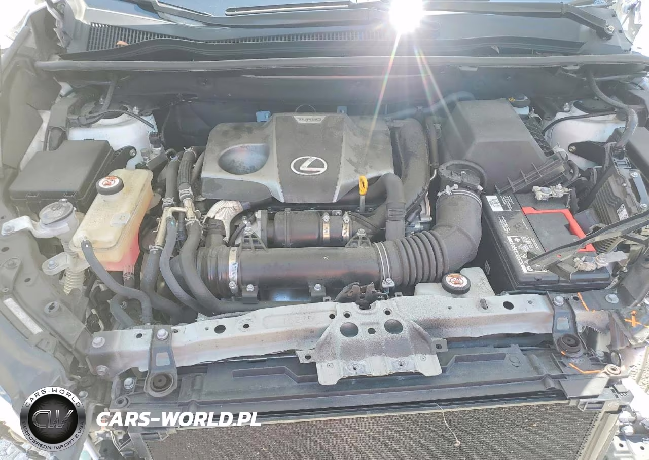 2020 Lexus Nx 300 F Sport VIN:JTJSARBZXL5011209 - 11