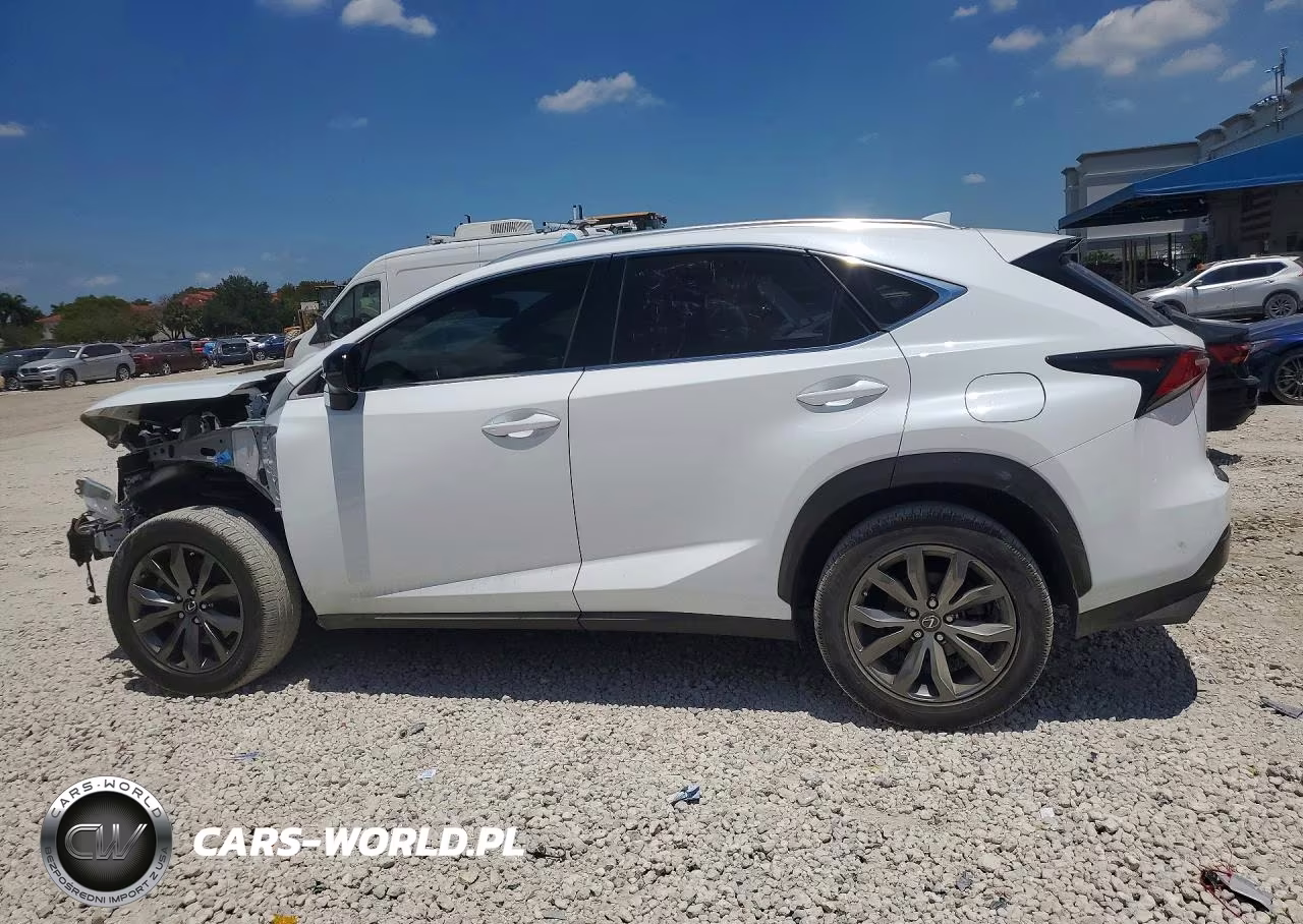 2020 Lexus Nx 300 F Sport VIN:JTJSARBZXL5011209 - 2