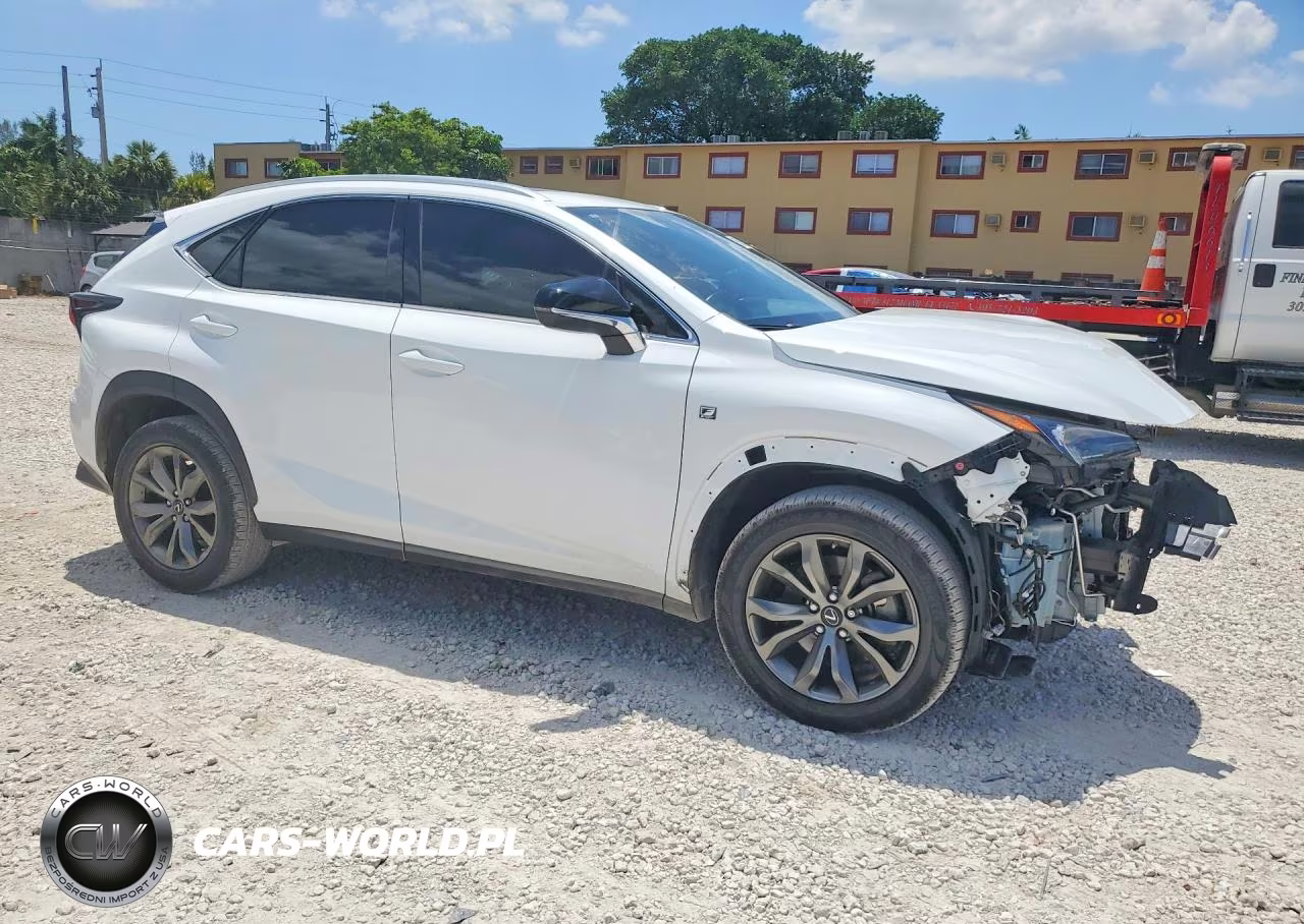 2020 Lexus Nx 300 F Sport VIN:JTJSARBZXL5011209 - 4