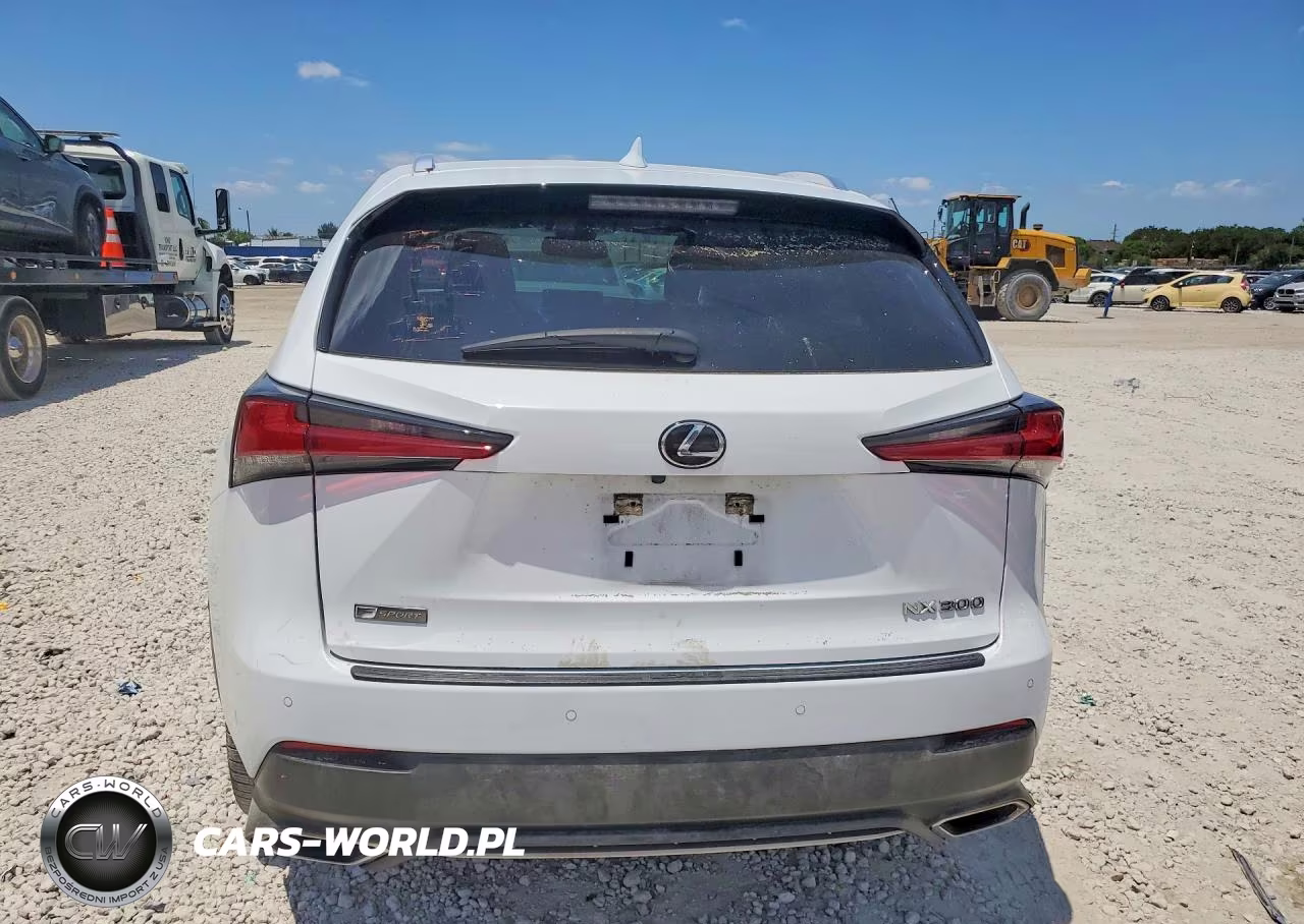 2020 Lexus Nx 300 F Sport VIN:JTJSARBZXL5011209 - 6