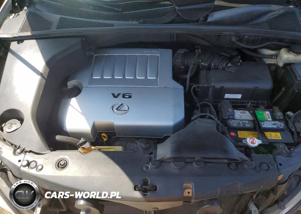 2007 Lexus Rx 350 VIN:2T2HK31UX7C006609 - 11