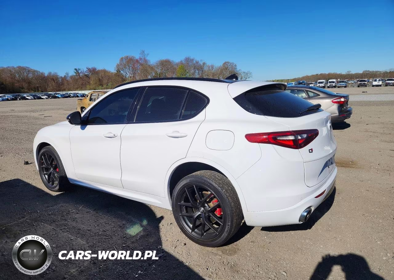 2021 Alfa Romeo Stelvio Ti VIN:ZASPAKBN0M7D18494 - 2