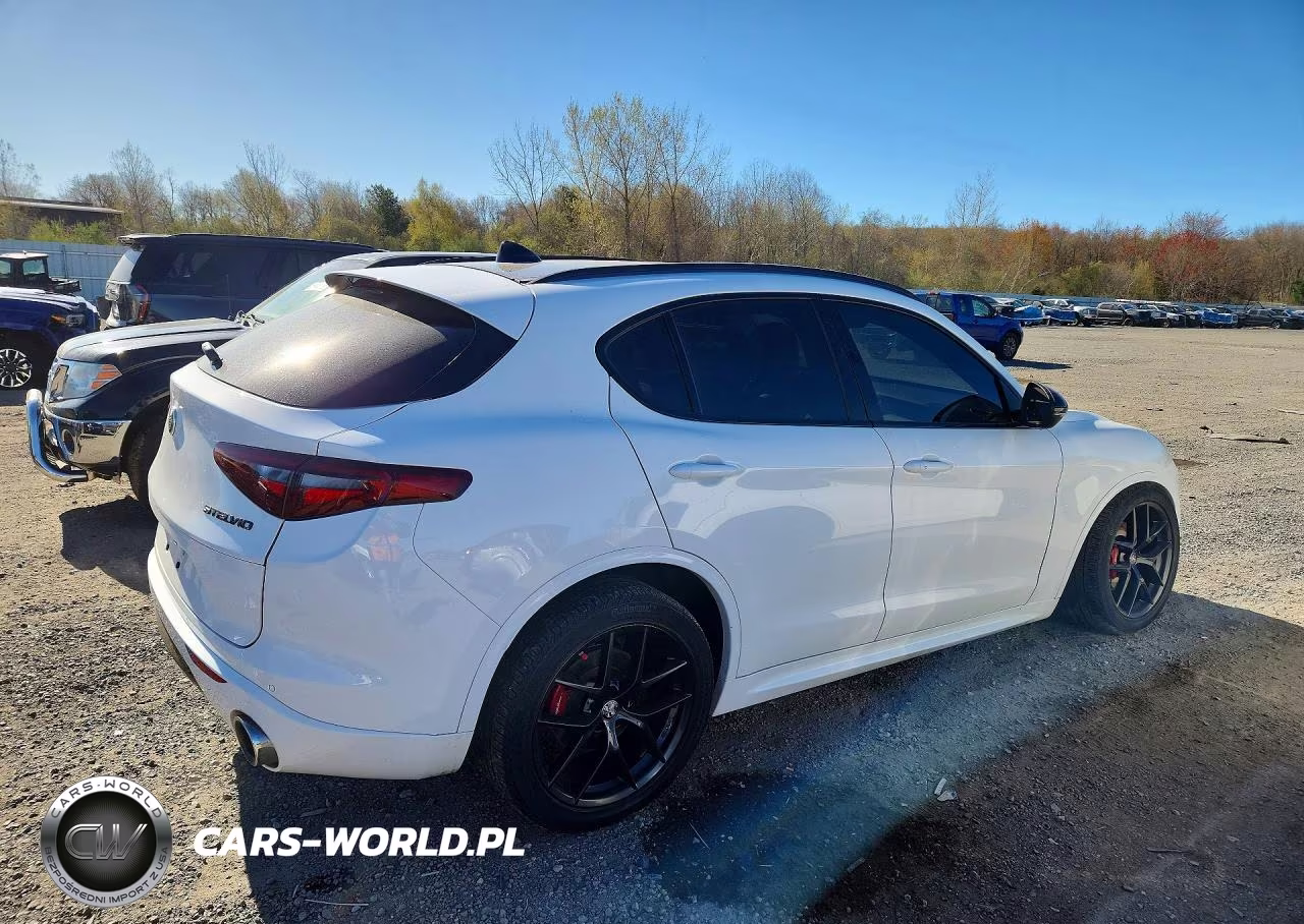 2021 Alfa Romeo Stelvio Ti VIN:ZASPAKBN0M7D18494 - 3