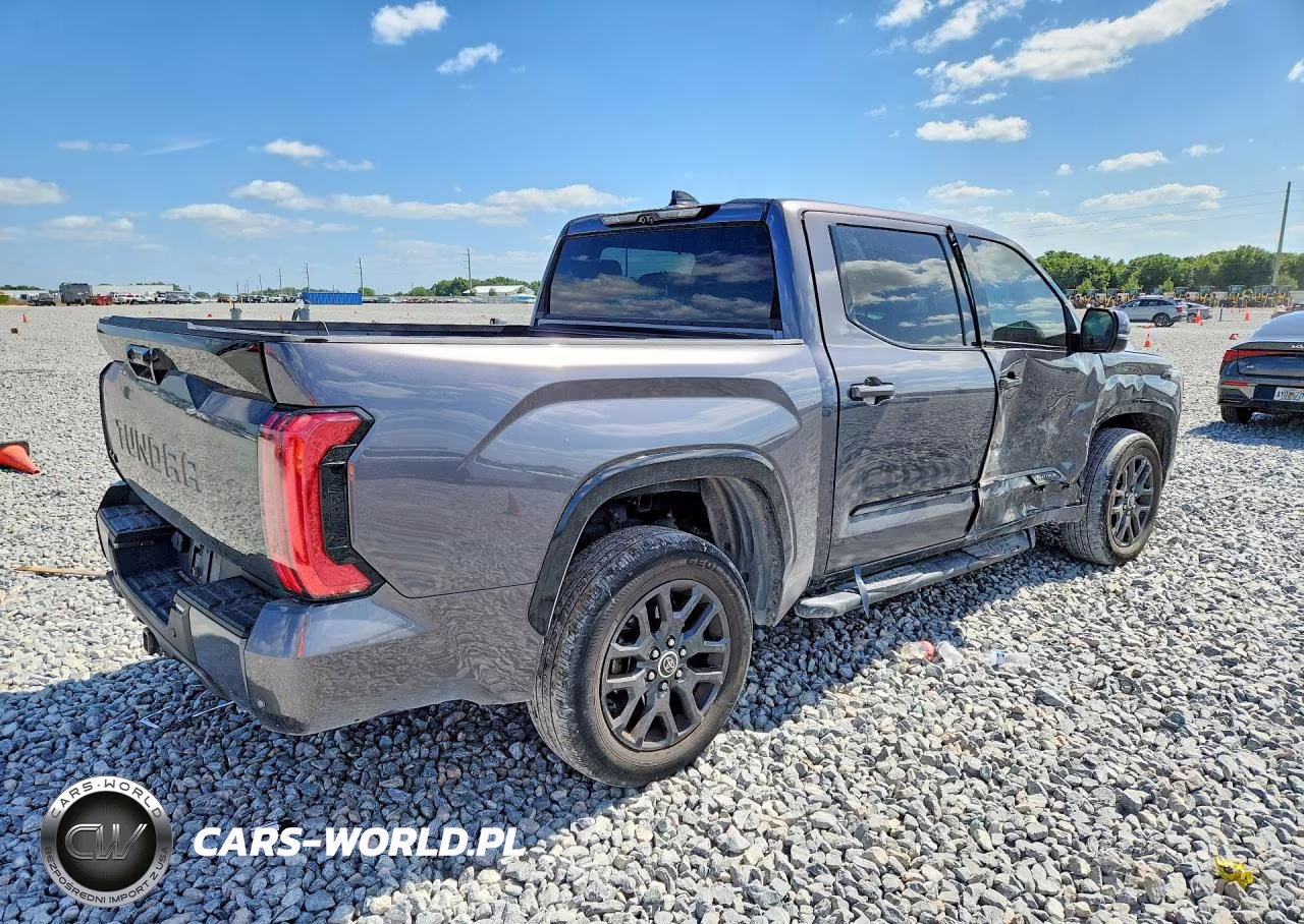 2023 Toyota Tundra Platinum VIN:5TFNA5DB3PX127631 - 3