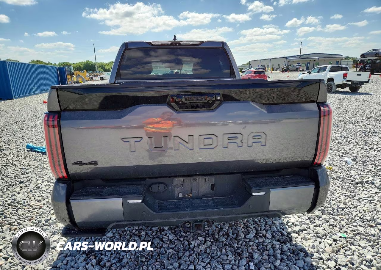 2023 Toyota Tundra Platinum VIN:5TFNA5DB3PX127631 - 6