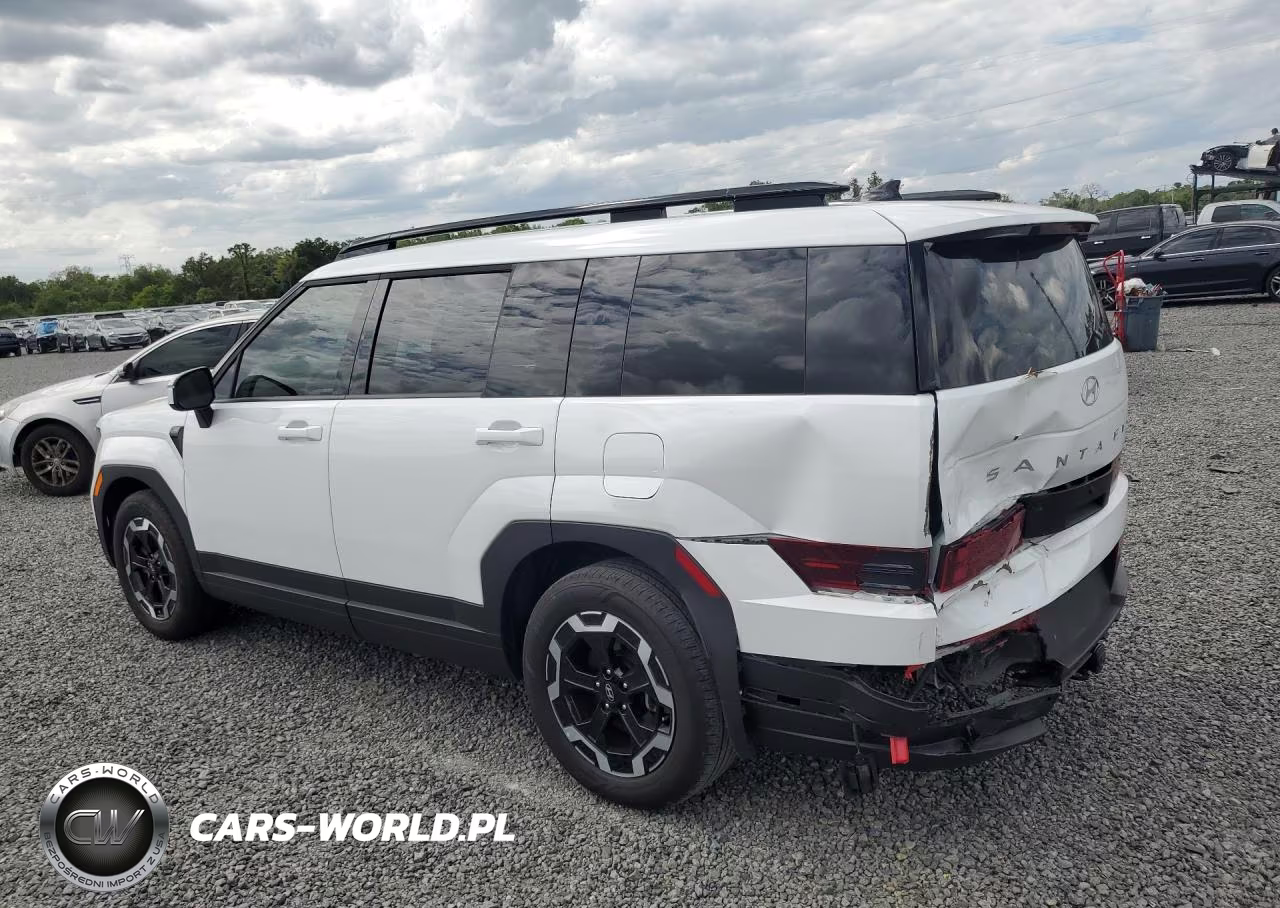 2024 Hyundai Santa Fe Sel VIN:5NMP24GL9RH037805 - 2