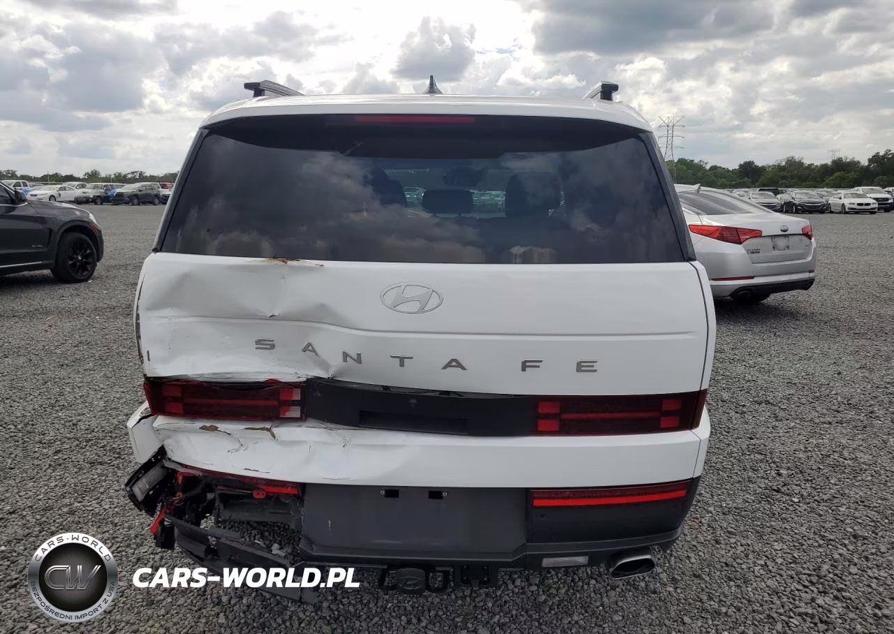 2024 Hyundai Santa Fe Sel VIN:5NMP24GL9RH037805 - 6