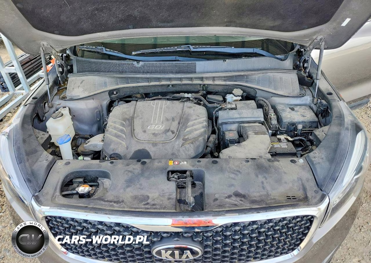 2016 Kia Sorento Lx V6 VIN:5XYPG4A52GG071605 - 12