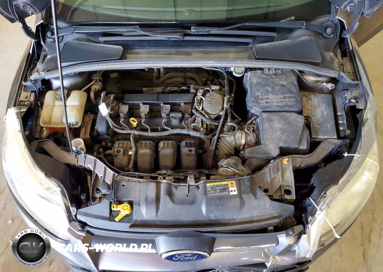 2014 Ford Focus Se VIN:1FADP3F21EL173934 - 11