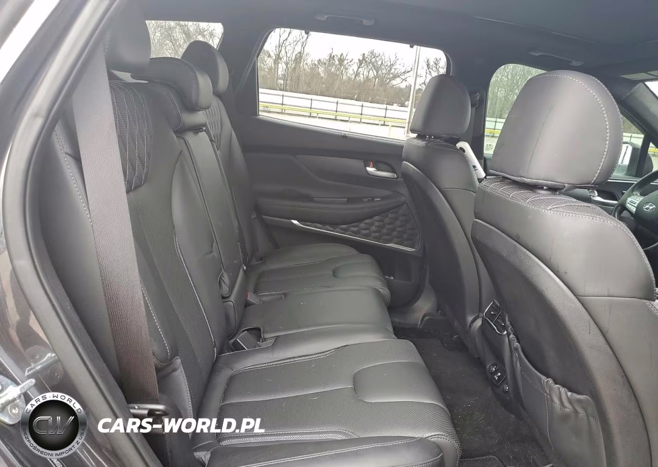 2021 Hyundai Santa Fe Calligraphy VIN:5NMS5DAL9MH323298 - 11