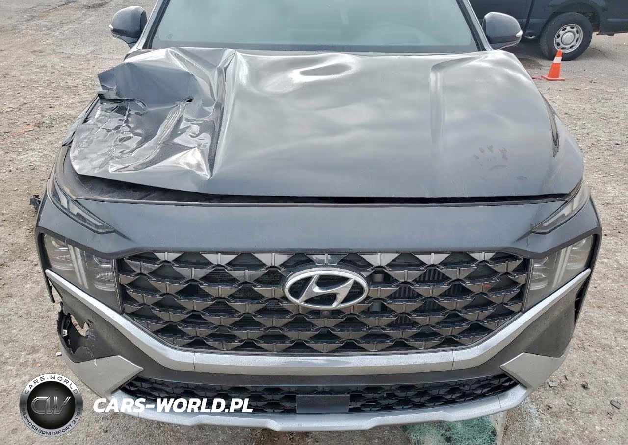 2021 Hyundai Santa Fe Calligraphy VIN:5NMS5DAL9MH323298 - 12