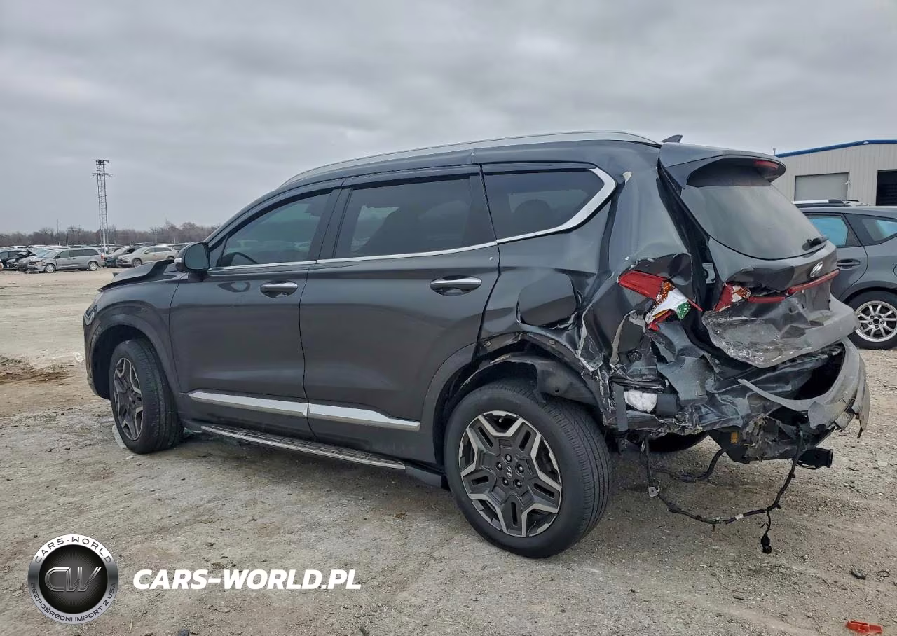 2021 Hyundai Santa Fe Calligraphy VIN:5NMS5DAL9MH323298 - 2