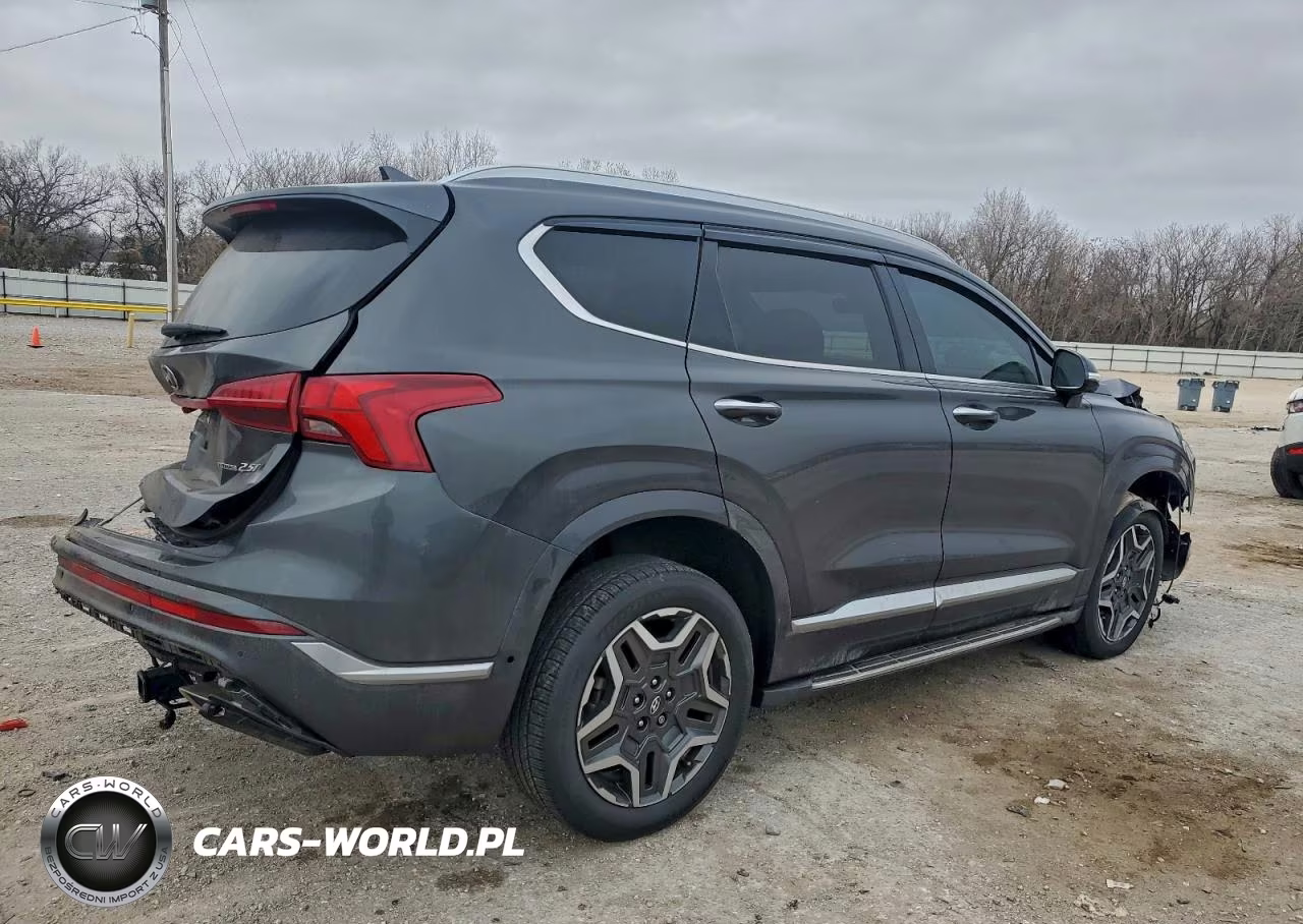 2021 Hyundai Santa Fe Calligraphy VIN:5NMS5DAL9MH323298 - 3