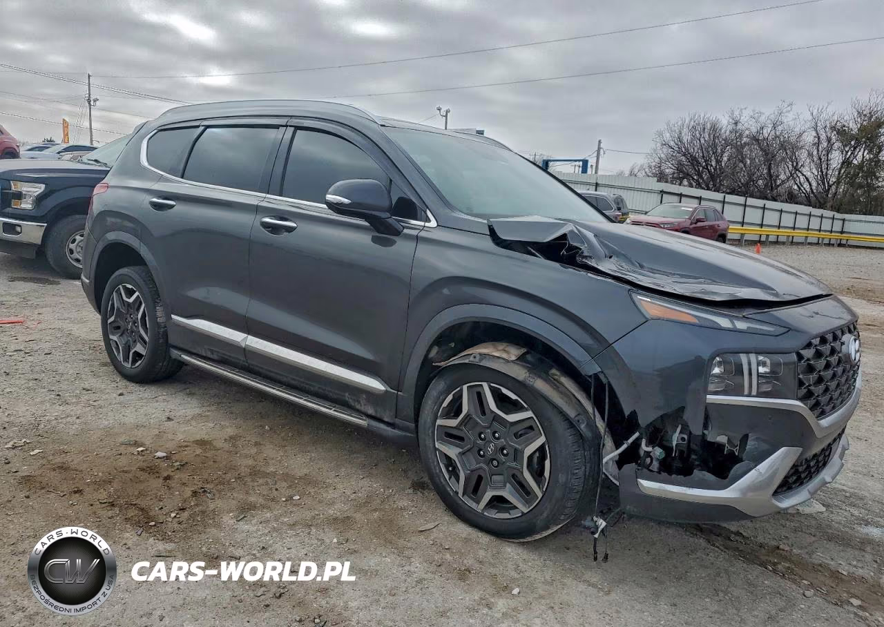 2021 Hyundai Santa Fe Calligraphy VIN:5NMS5DAL9MH323298 - 4