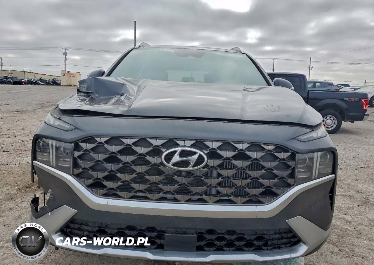 2021 Hyundai Santa Fe Calligraphy VIN:5NMS5DAL9MH323298 - 5