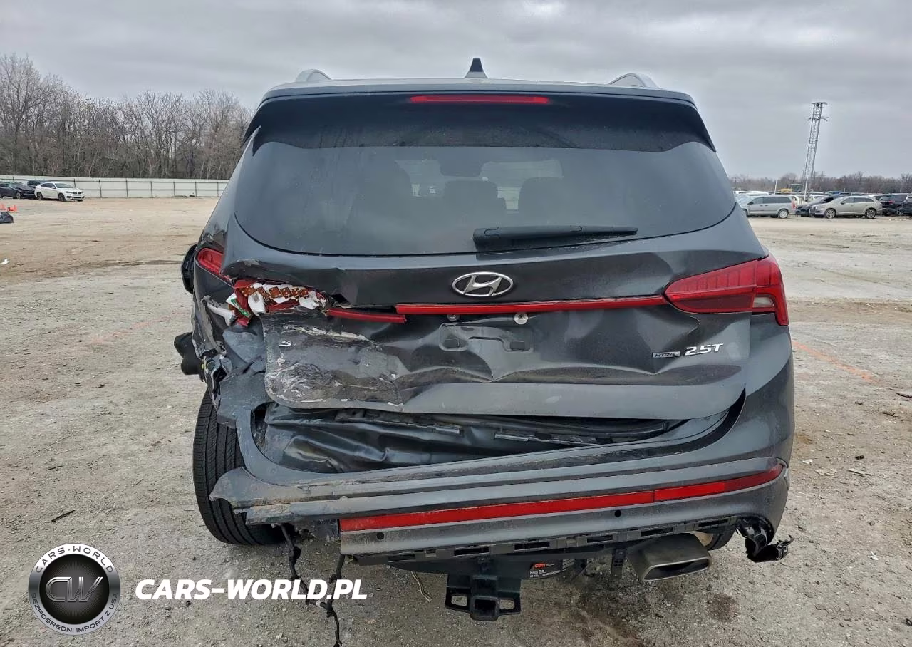 2021 Hyundai Santa Fe Calligraphy VIN:5NMS5DAL9MH323298 - 6
