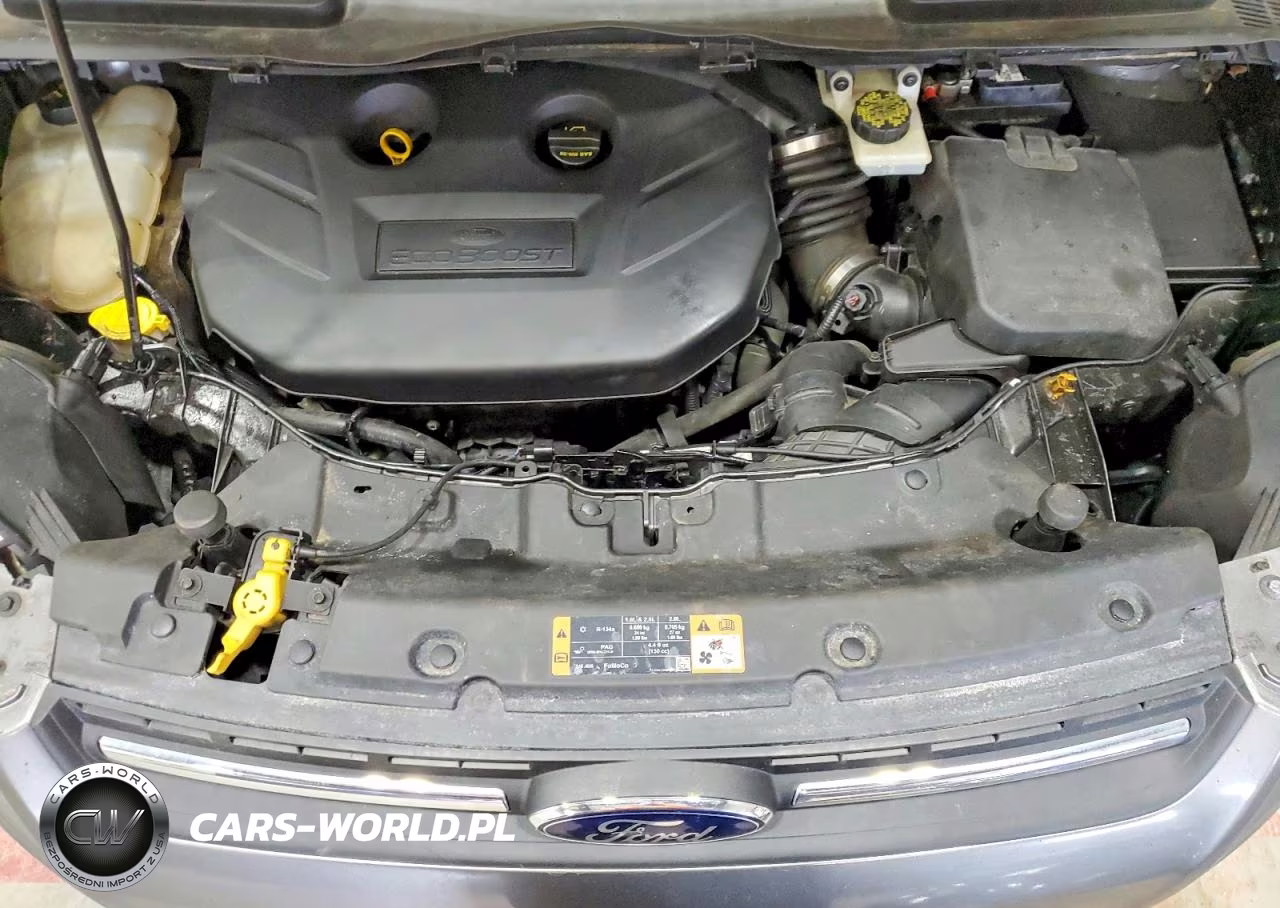 2014 Ford Escape VIN:1FMCU9G93EUC69390 - 12