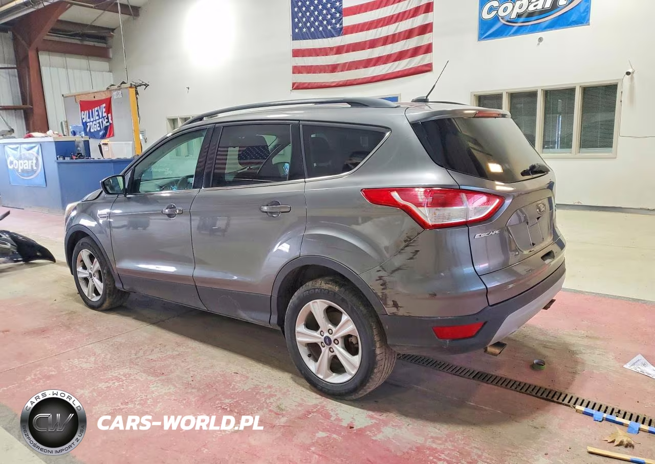 2014 Ford Escape VIN:1FMCU9G93EUC69390 - 2