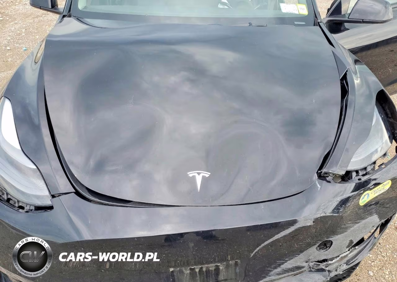 2023 Tesla Model Y VIN:7SAYGAEE5PF926823 - 11
