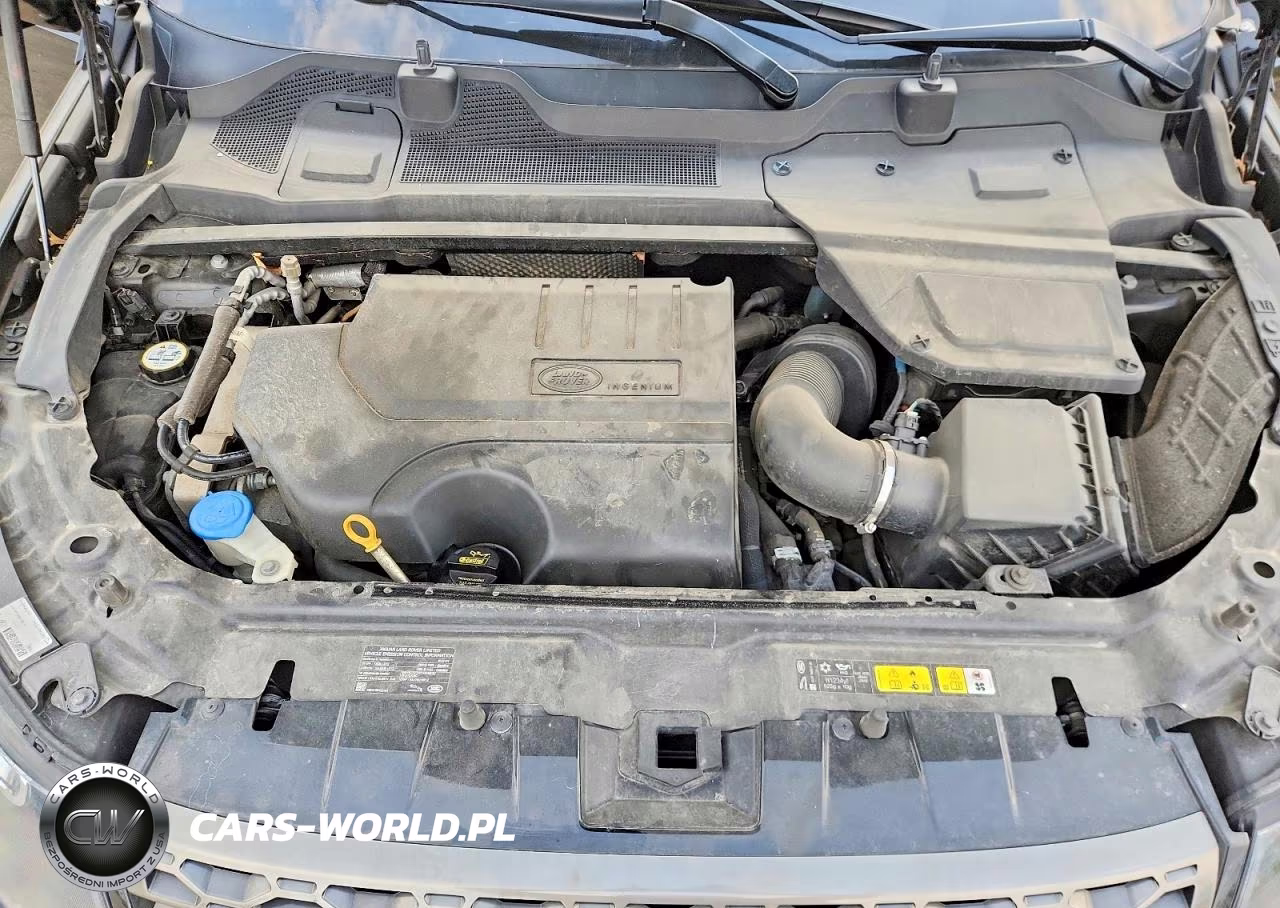 2019 Land Rover Discovery Sport Se VIN:SALCP2FX6KH799336 - 11
