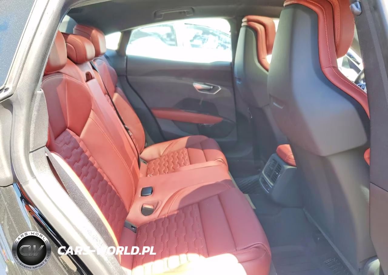2024 Audi E-Tron Gt Premium Plus VIN:WAUCJBFW6R7004606 - 10
