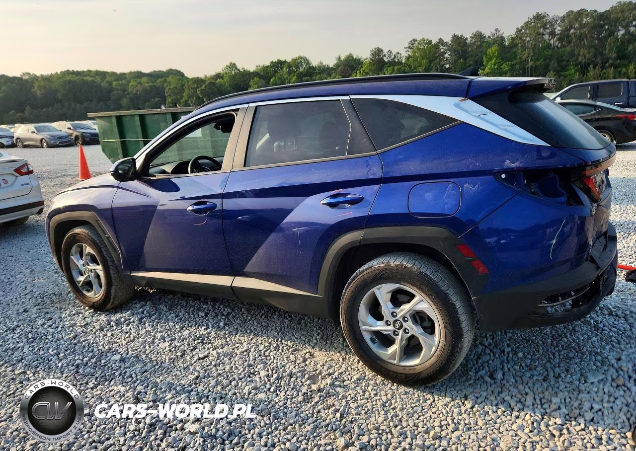 2024 Hyundai Tucson Sel VIN:5NMJBCDE5RH354955 - 2