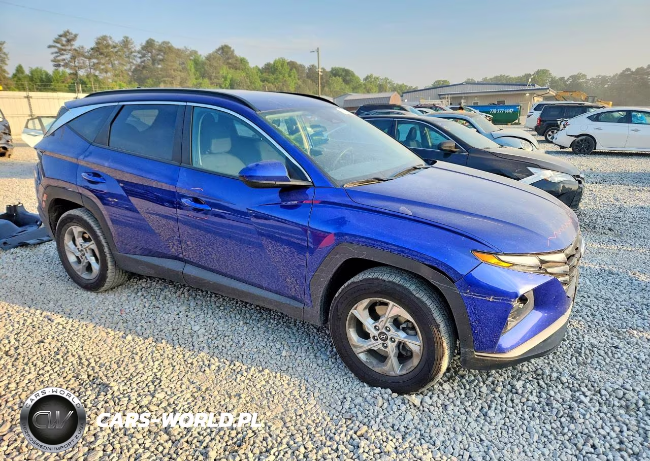 2024 Hyundai Tucson Sel VIN:5NMJBCDE5RH354955 - 4