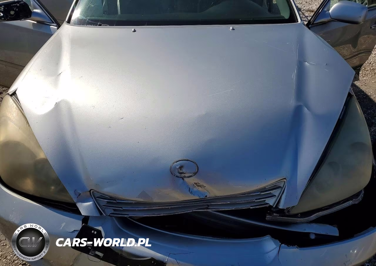 2004 Lexus Es 330 VIN:JTHBA30G040003117 - 11