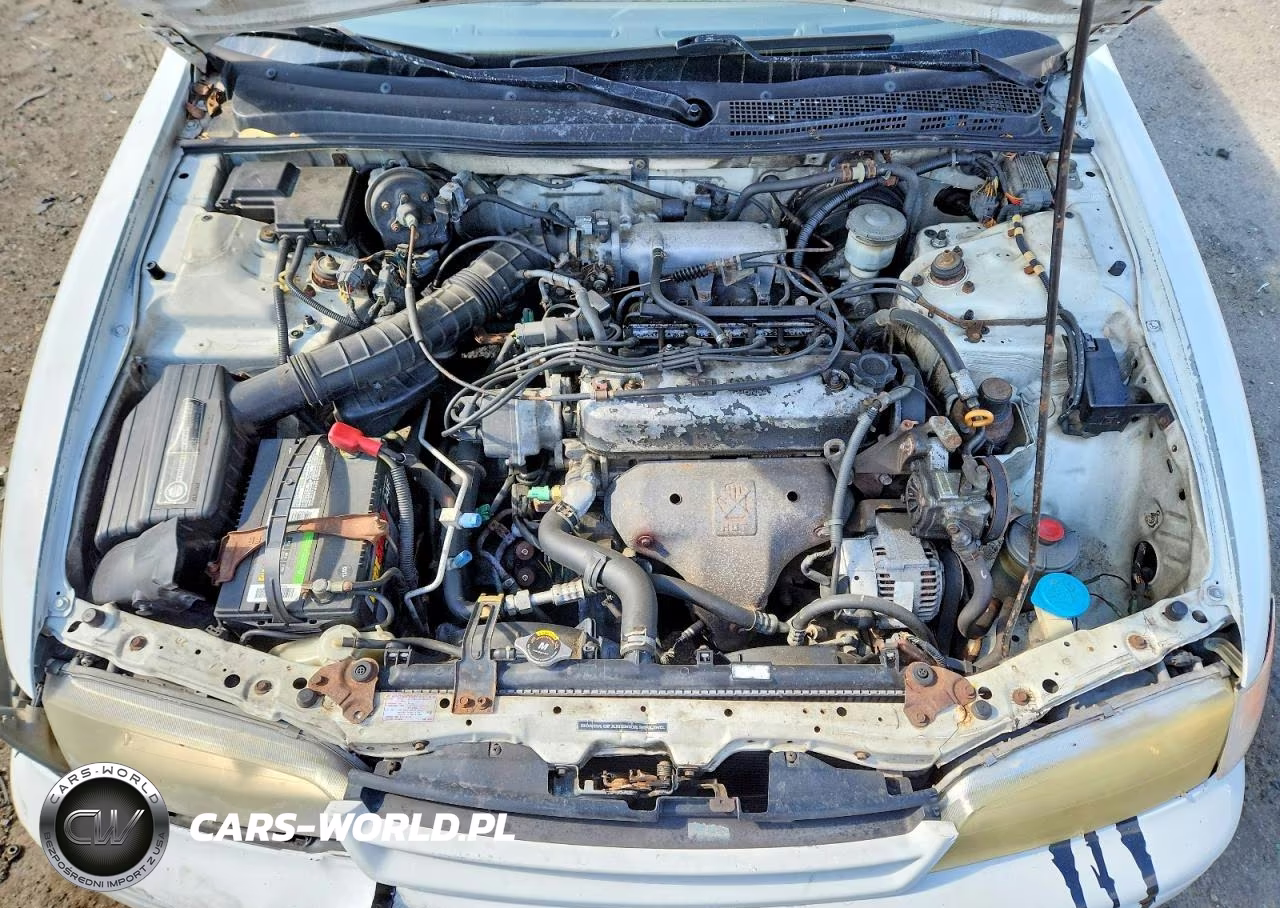 1994 Honda Accord Lx VIN:1HGCD5632RA062069 - 11