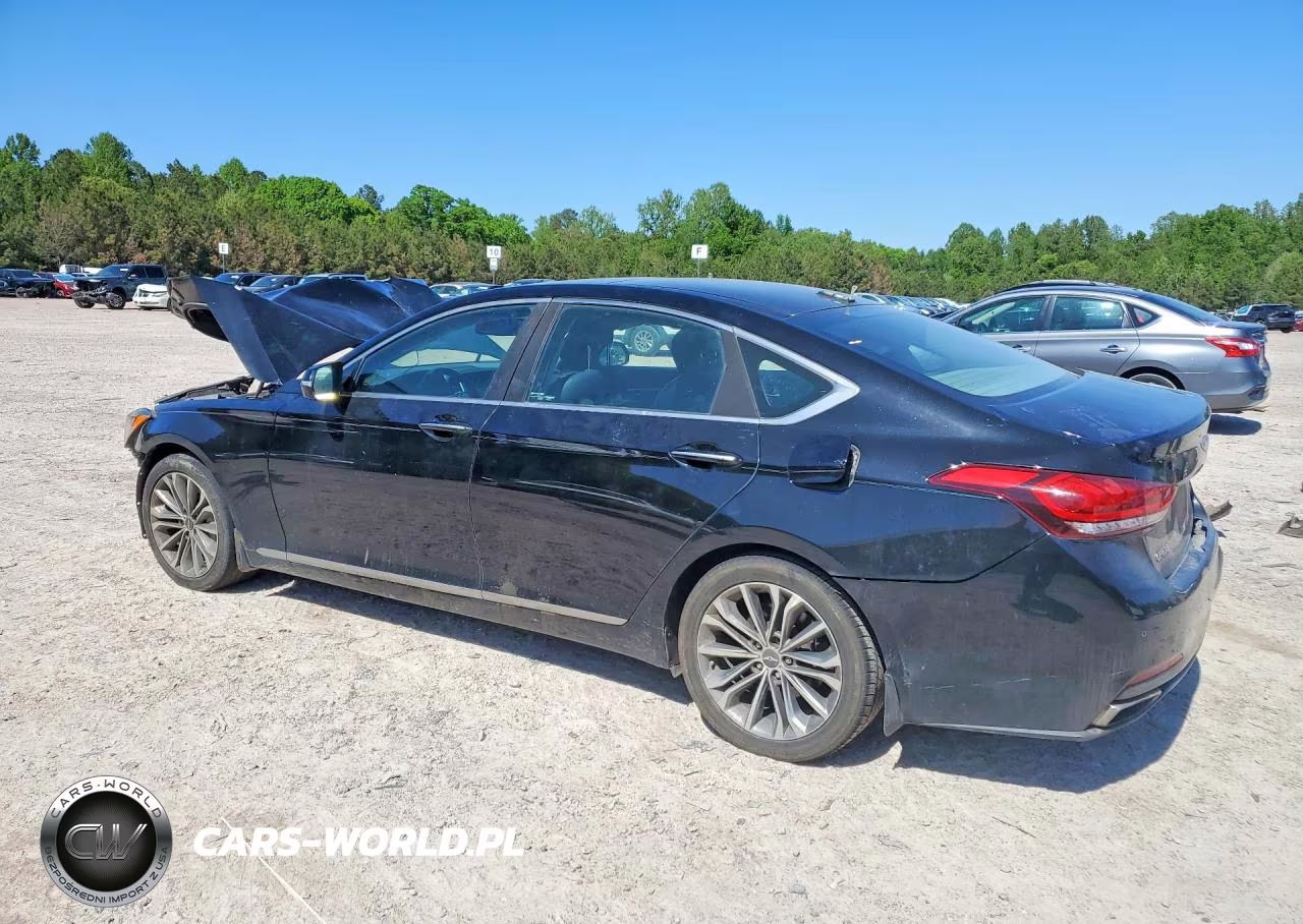 2015 Hyundai Genesis 3.8L VIN:KMHGN4JE4FU070163 - 2