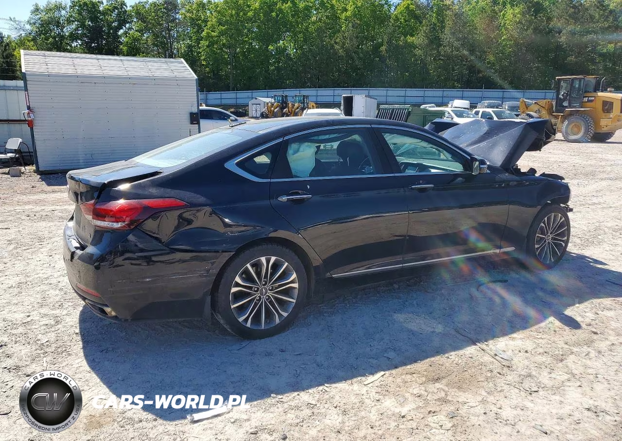 2015 Hyundai Genesis 3.8L VIN:KMHGN4JE4FU070163 - 3