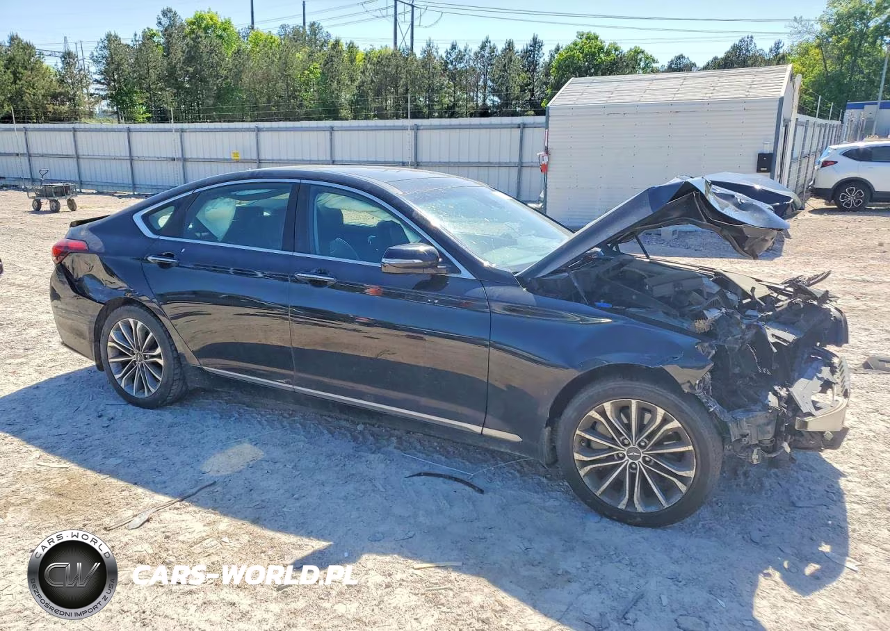 2015 Hyundai Genesis 3.8L VIN:KMHGN4JE4FU070163 - 4