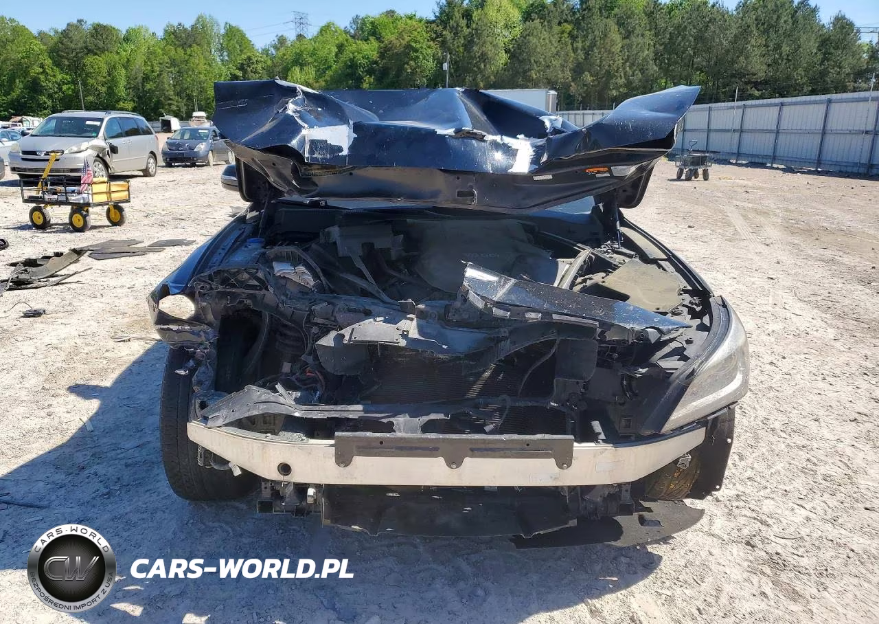 2015 Hyundai Genesis 3.8L VIN:KMHGN4JE4FU070163 - 5