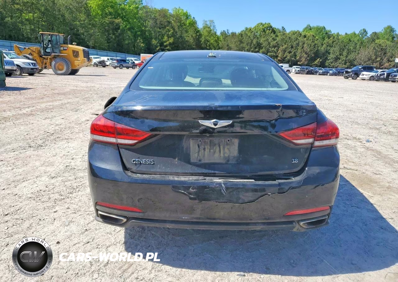 2015 Hyundai Genesis 3.8L VIN:KMHGN4JE4FU070163 - 6
